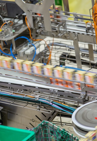 Commercial conveyor belt in a food preparation warehouse