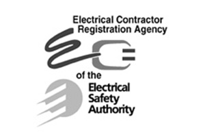 Electric Safety logo greyscale